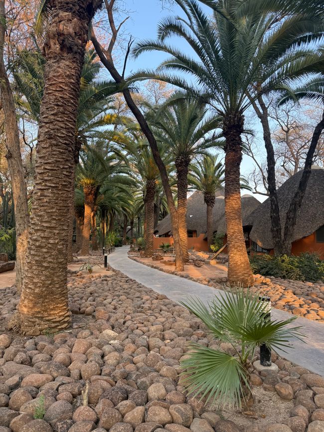 Namibia 2k25 🦓🏜️🐘