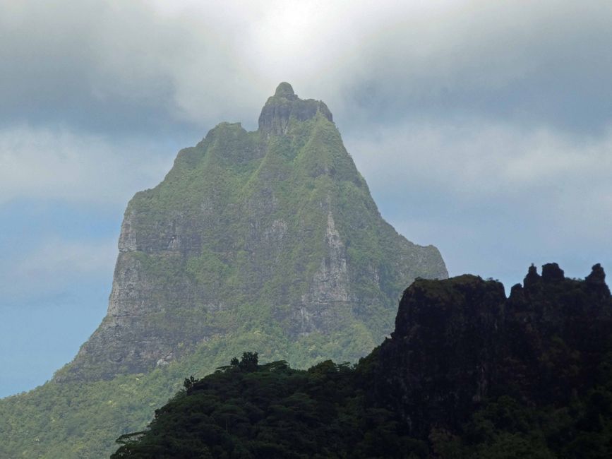 Mo orea