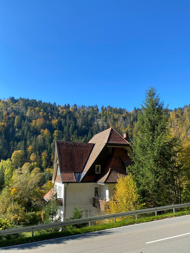 Mitten im Wald stand dieses beeindruckende Haus