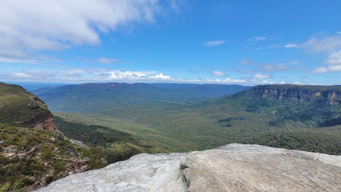 Blue Mountains – Eukalyptusbäume locken nicht nur Koalas an