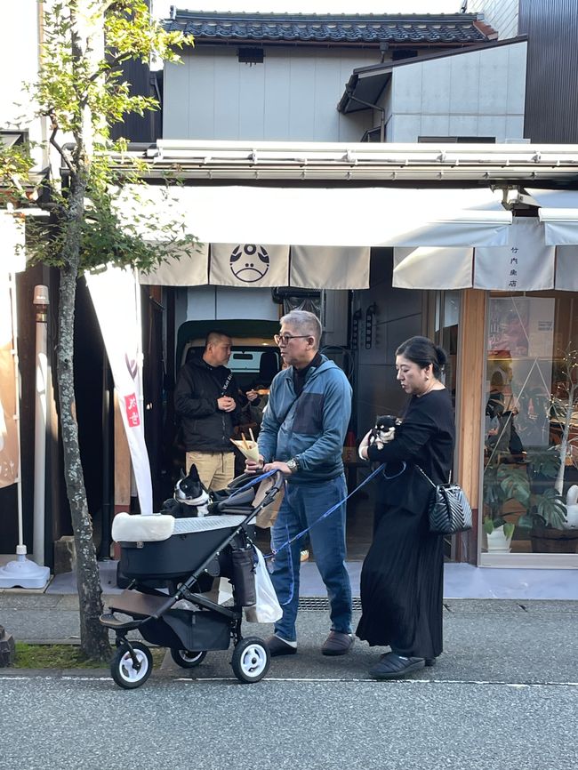 Herr und Frau und Hund