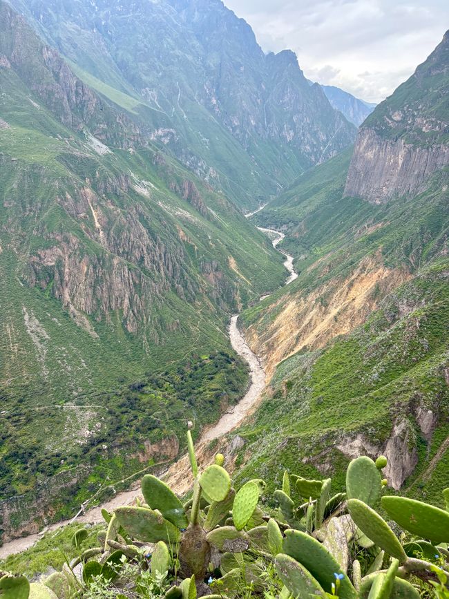 Canyon de Colca