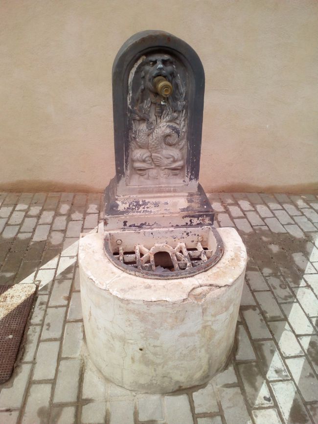 Fotos von Castilléjar (de los Ríos) (Granada) (Dezember 2022) (Teil 2)