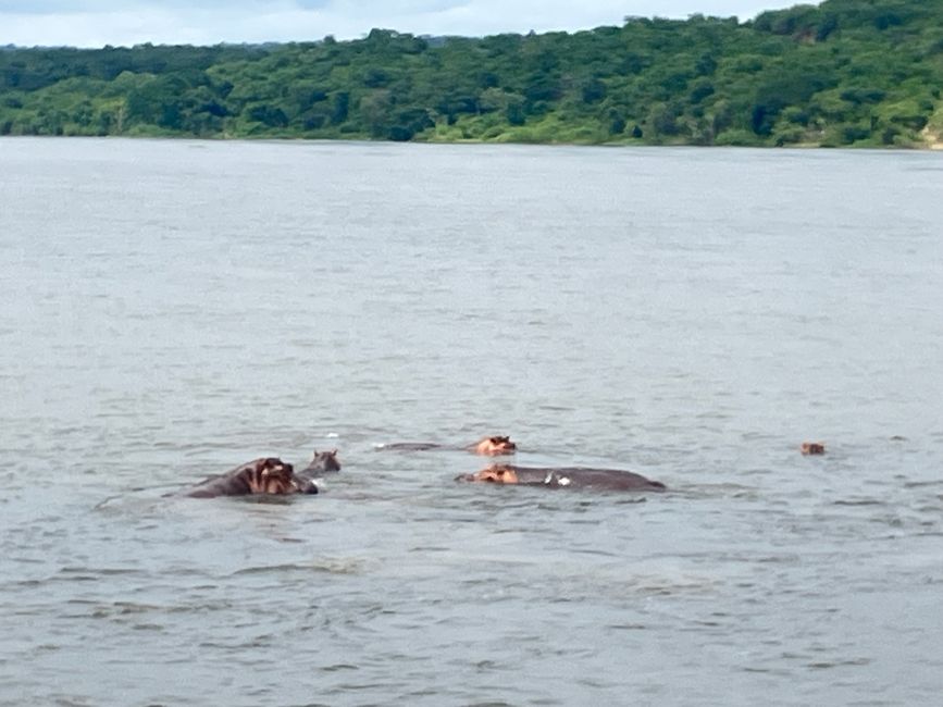 Nationalpark Murchison Falls