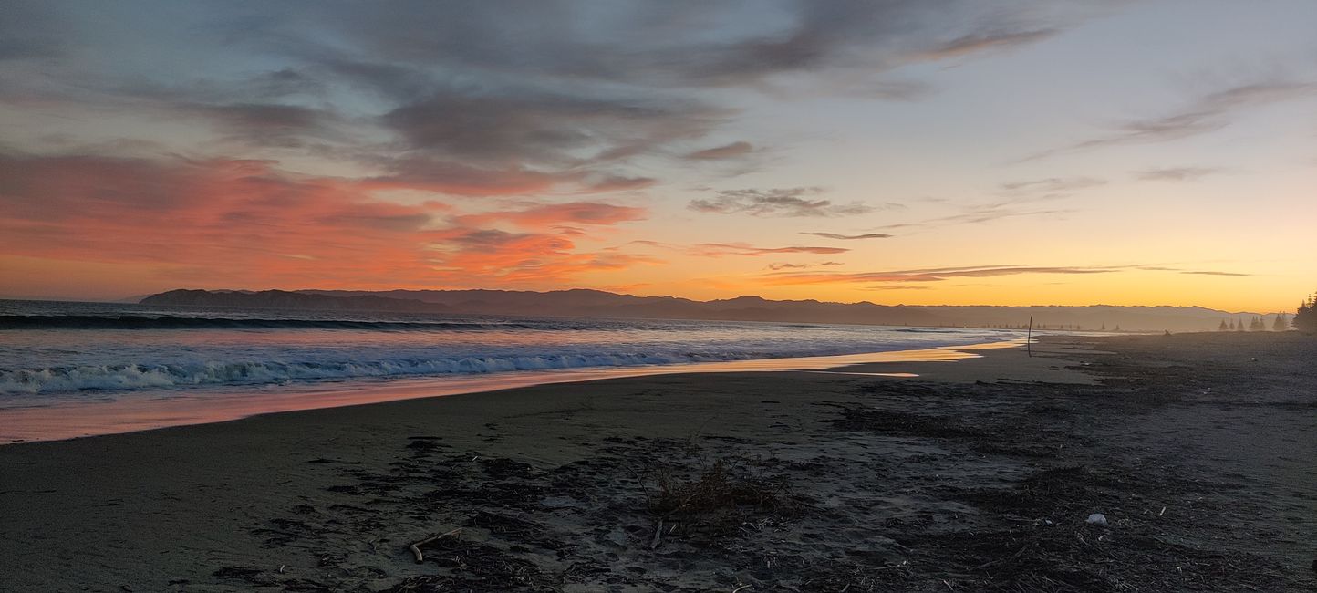 Woche 23 - Money Money Money