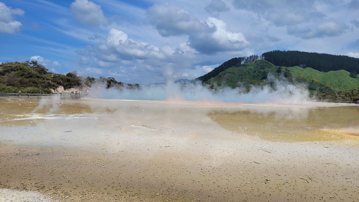 In Wai-O-Tapu National Park and at Lady Knox