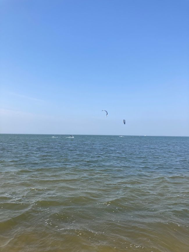 Greifswald und über die Freude im Großen und im Kleinen