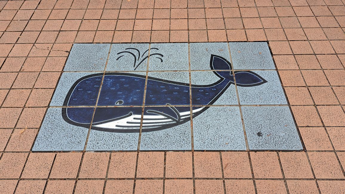 Kochi