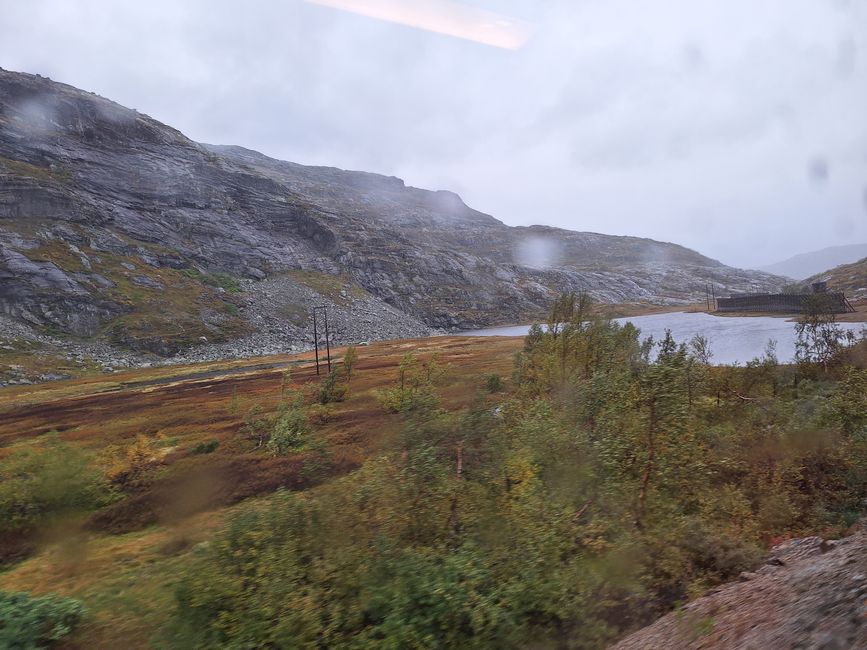 Etiqueta 7 Vossevangen - Flam