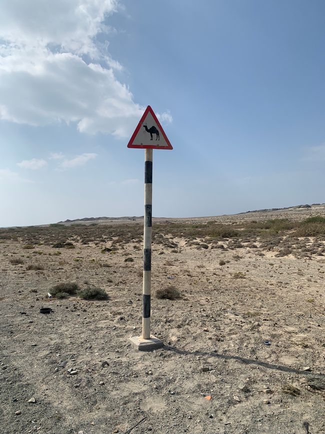 Isola di Masirah