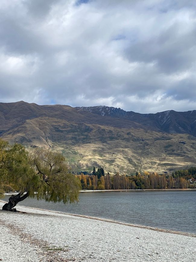 Tekapo, working and off we go