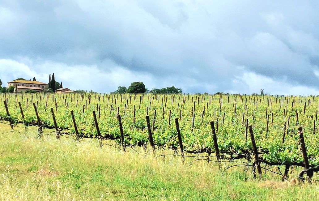 Tour de la Toscana 2026