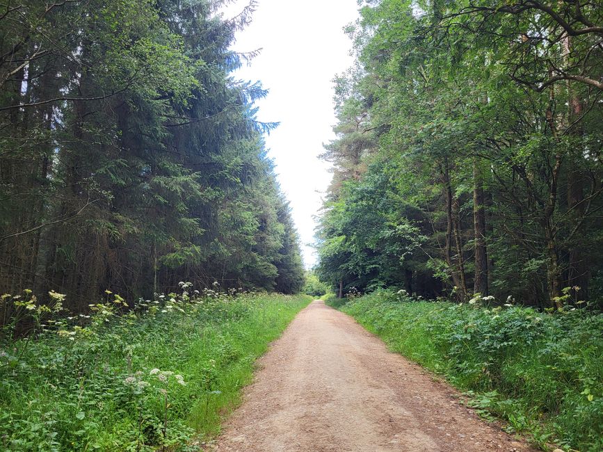 Sneverdale Rigg Rabbit Run