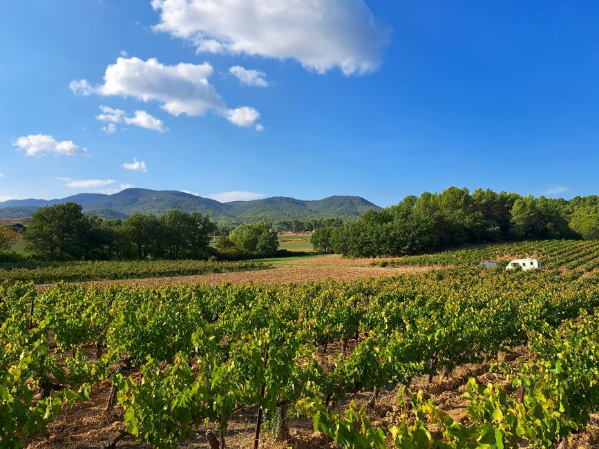 Espacio en el vino