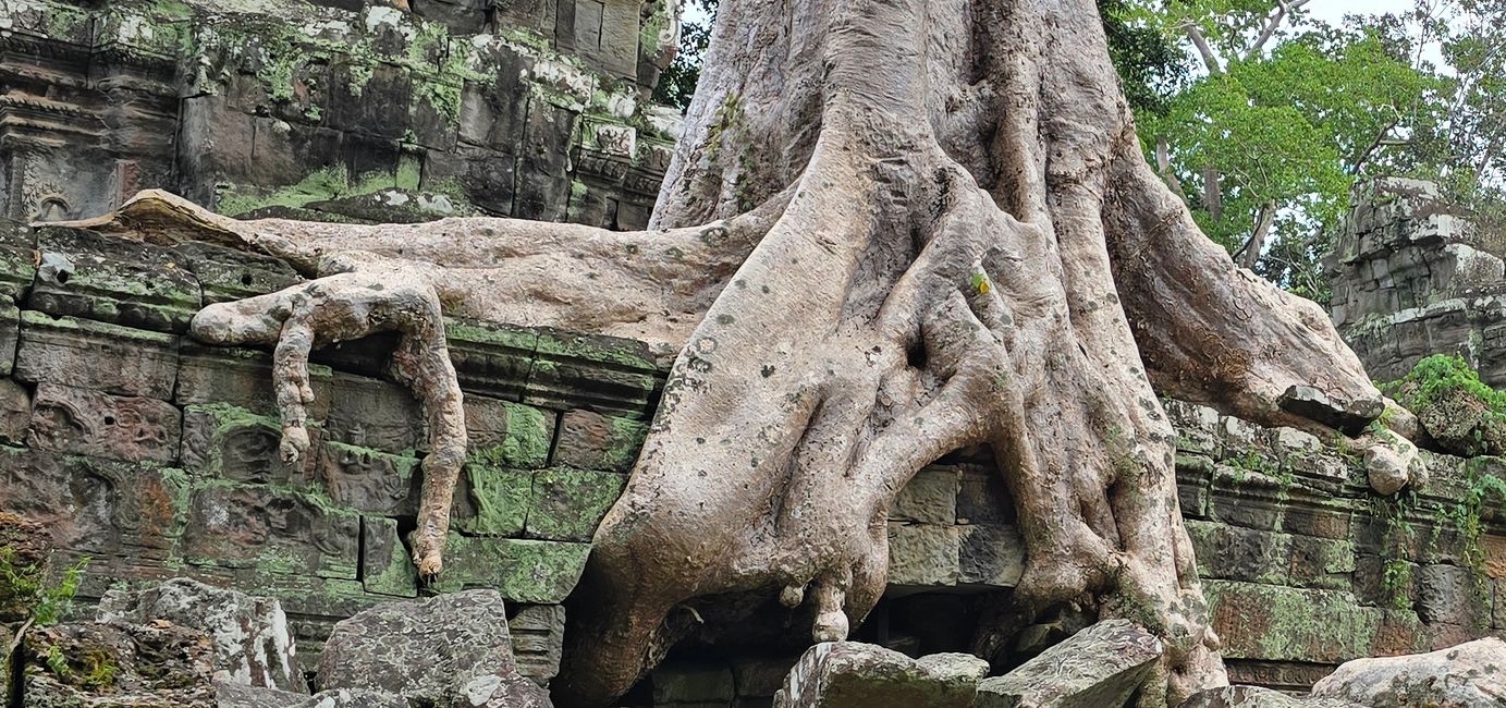 Ta Prohm