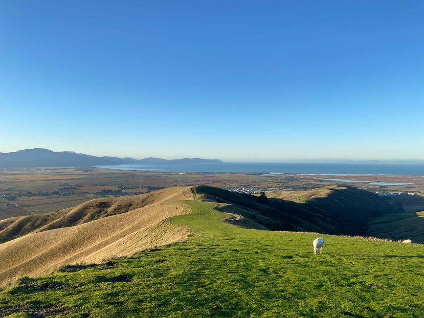 Nelson, Queen Charlotte drive, Picton, Kaikoura, Blenheim