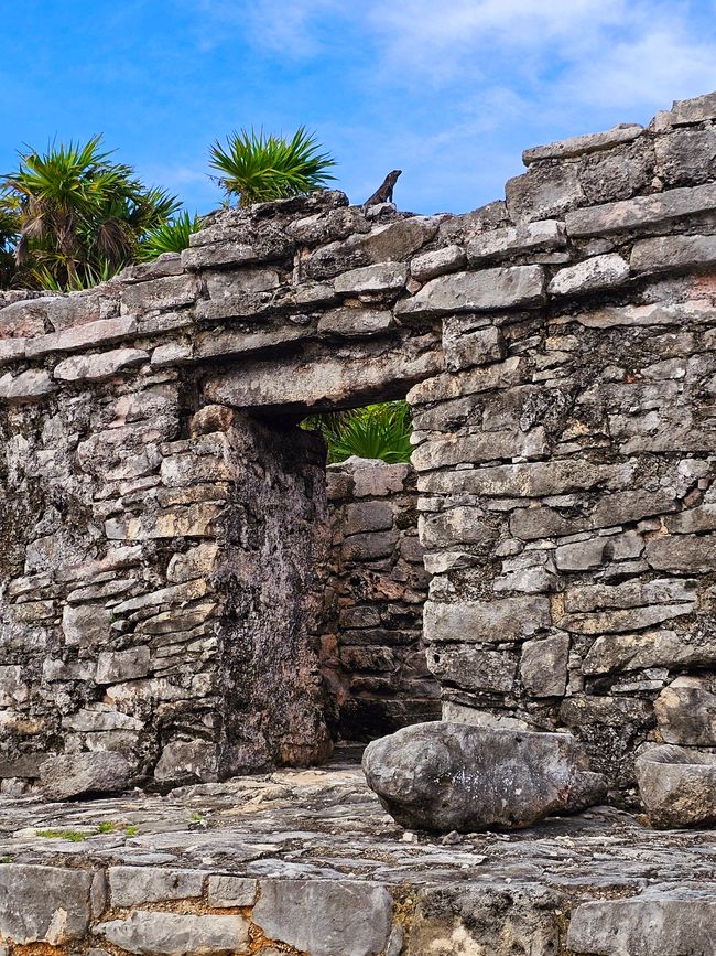 Tulum, Coba and Cenote