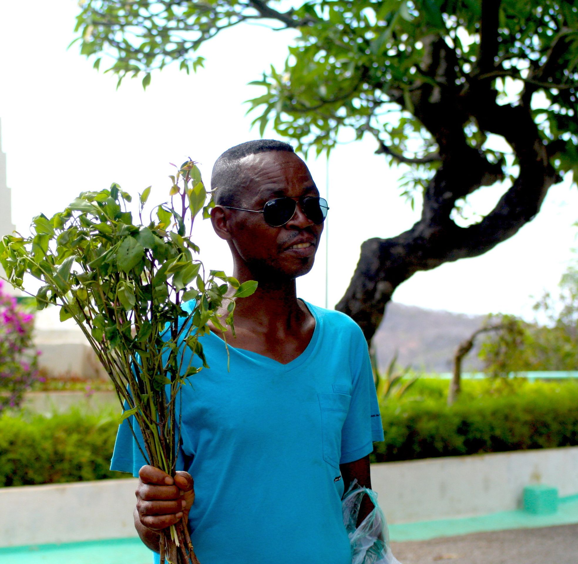 Cath au lieu des roses