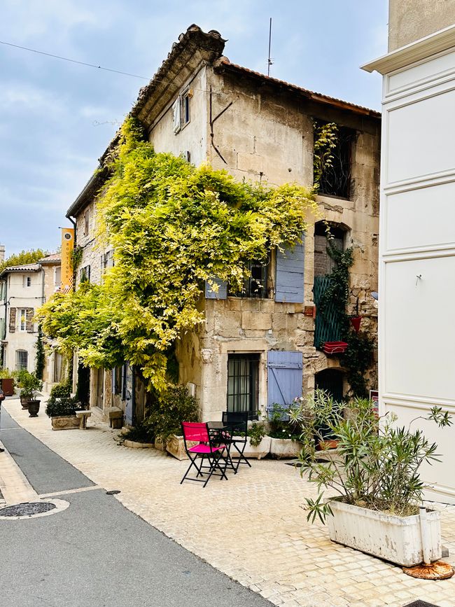 Saint-Rémy-de-Provence, los Alpilles y Salon-de-Provence