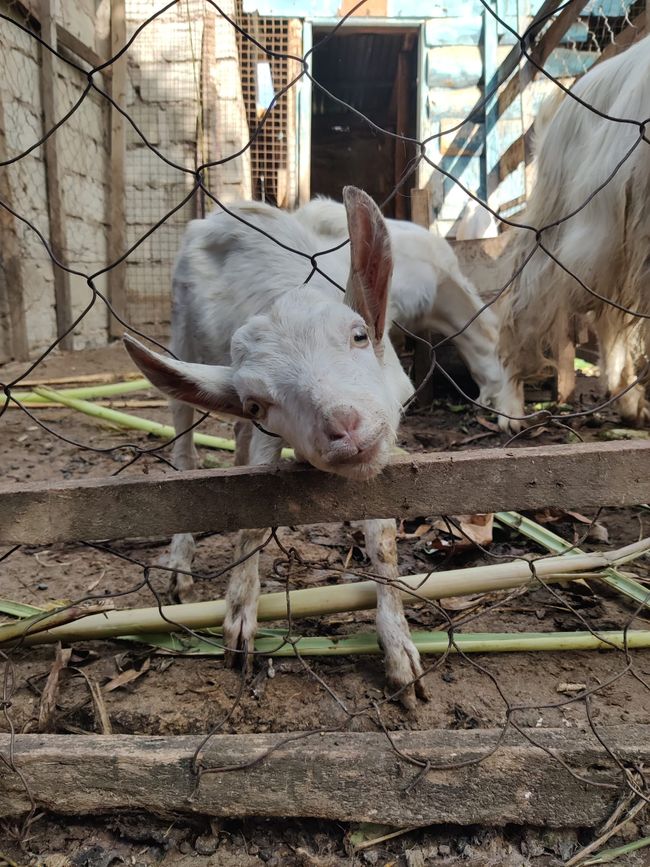 Tansania - Tag 7: Rückreise nach Arusha