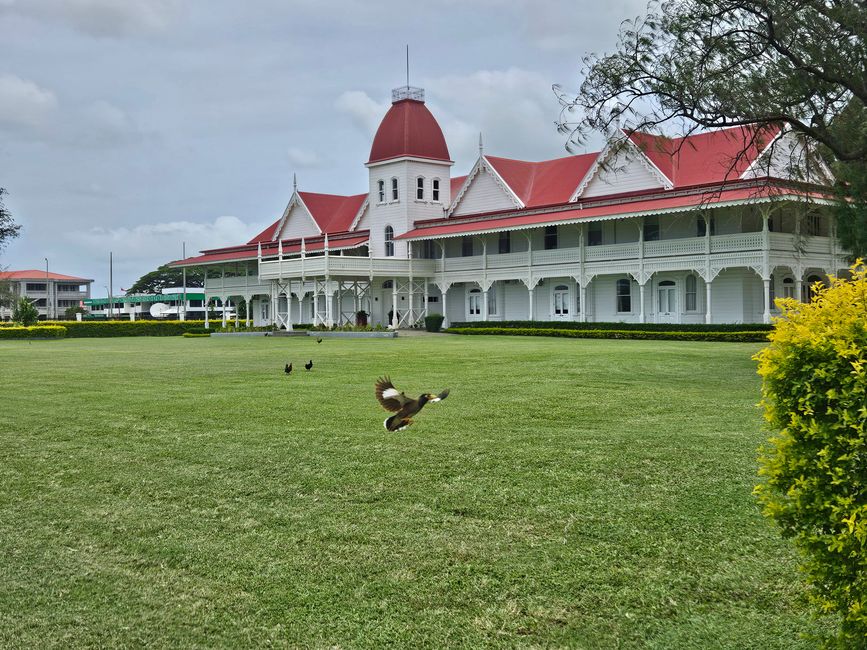 49. Tag Naku'alofa, Tonga 12.01.2026