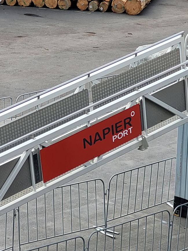 Giorno 81 di 175: Crociera intorno al mondo - Napier/Nuova Zelanda