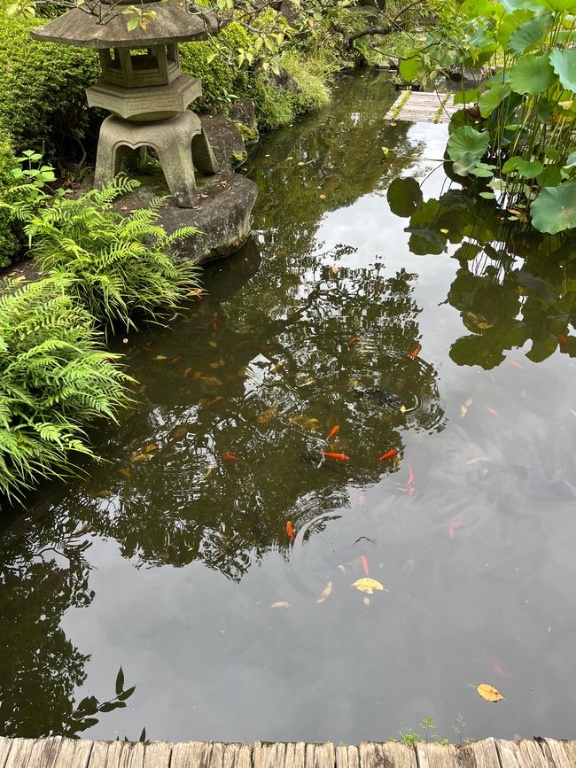 Kamakura