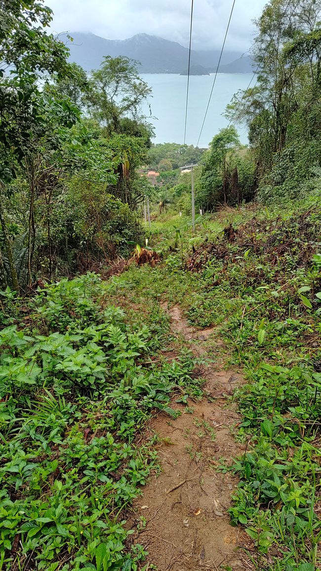 Brasil, Fortaleza Sendero del Bosque Tropical