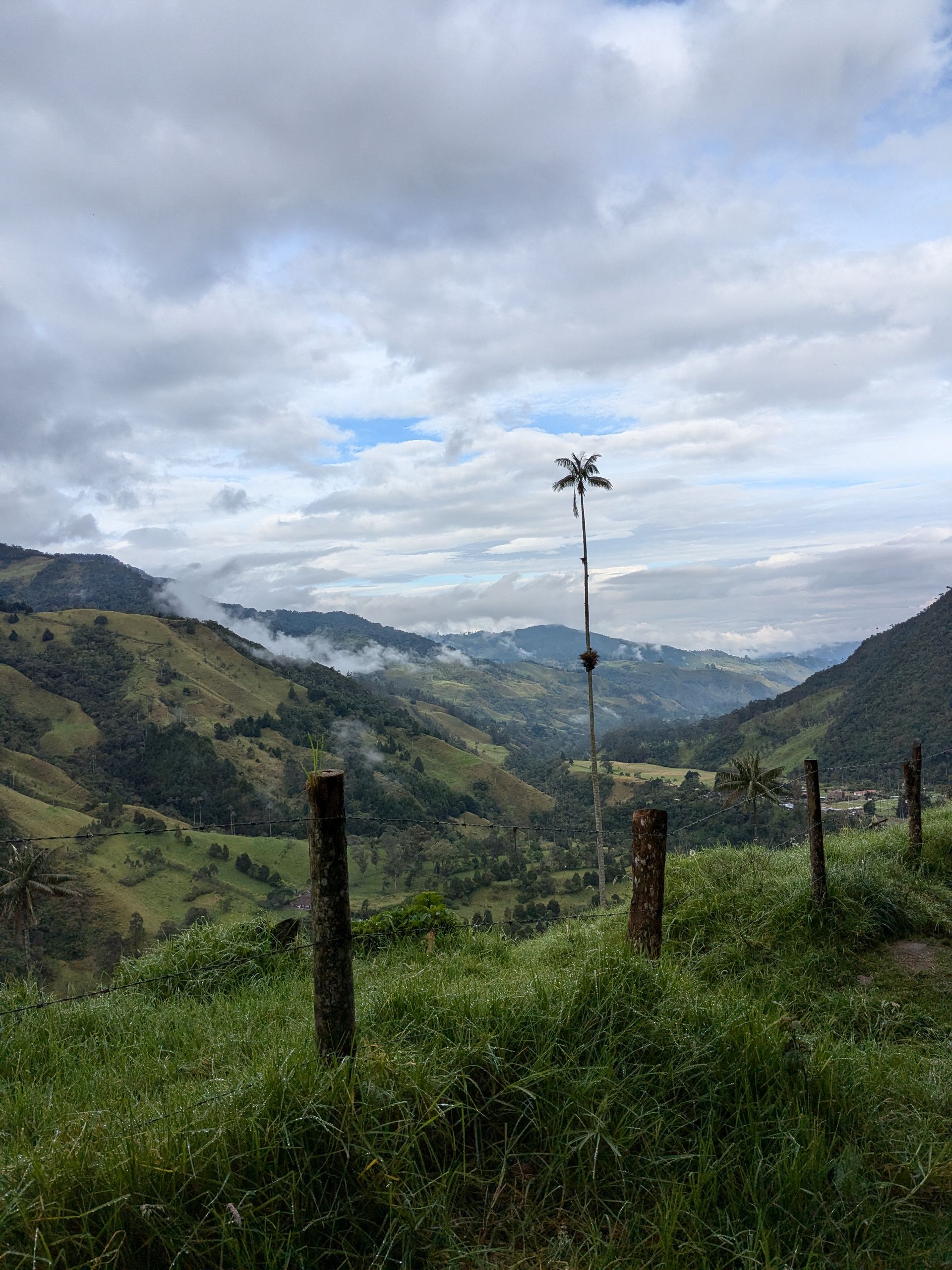 Quindío, oyo azali