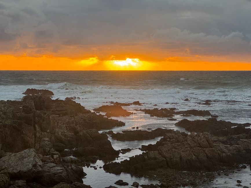 Gansbaai
