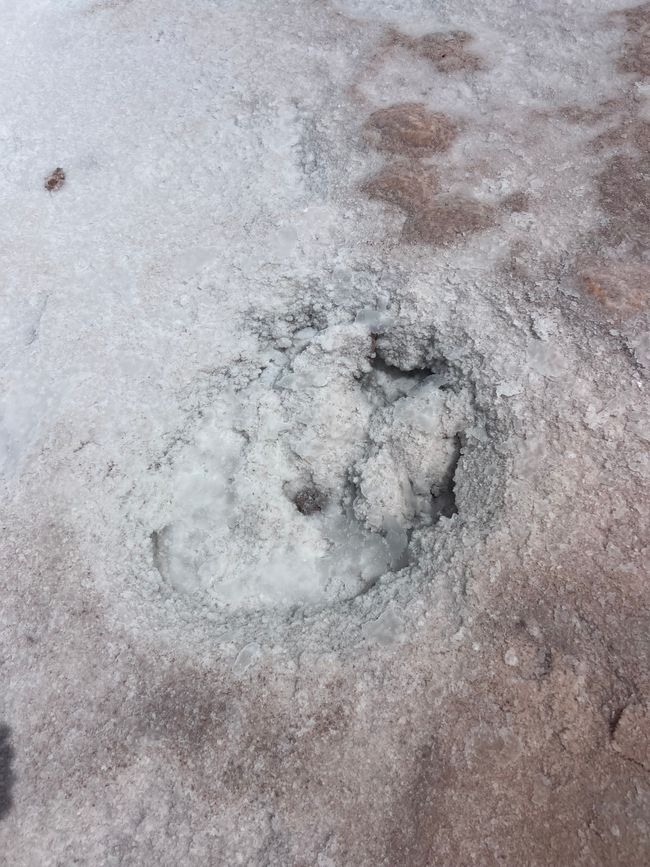 kein Geysir sondern eine fast trockene Salzwasserquelle