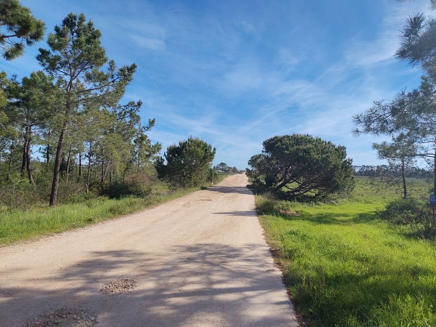 Aljezur -> Odeceixe
