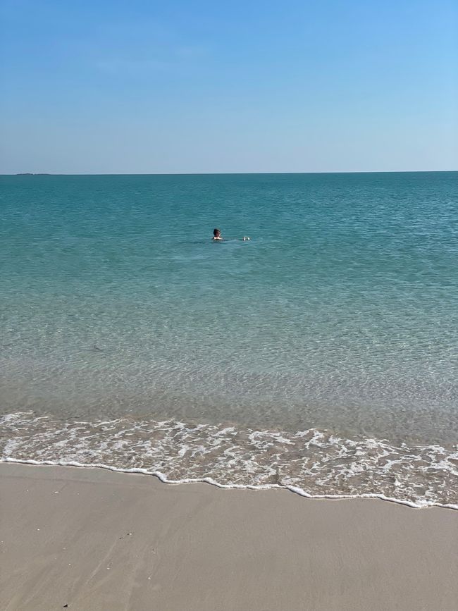 … et dans l'eau…