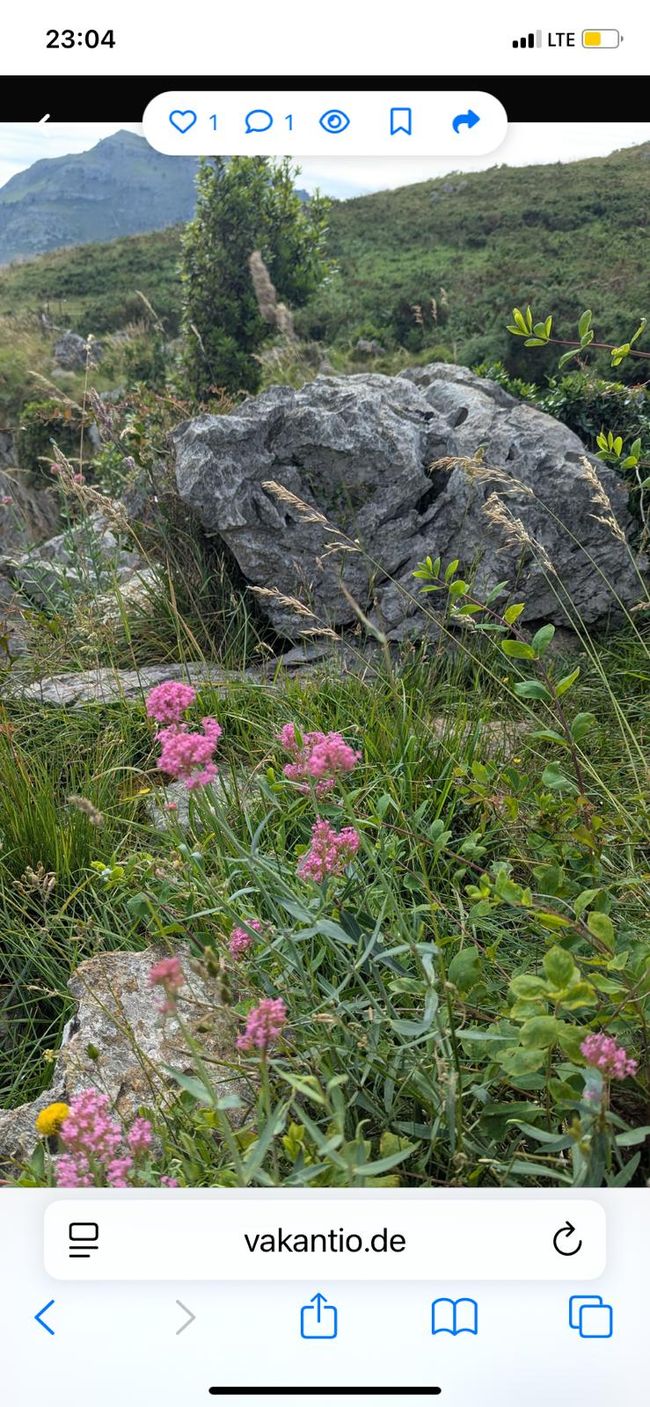 5. Etapa Camino del Norte de Santona a Güemes