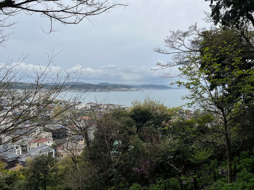 Kamakura-Freitag-11.04.25