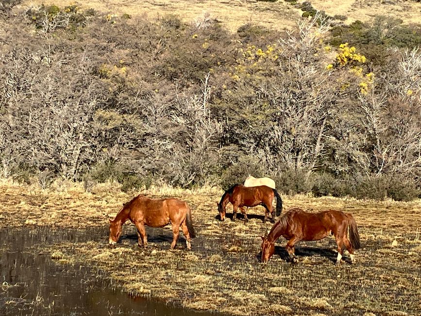 Patagonia - Torres del Paine, Chile