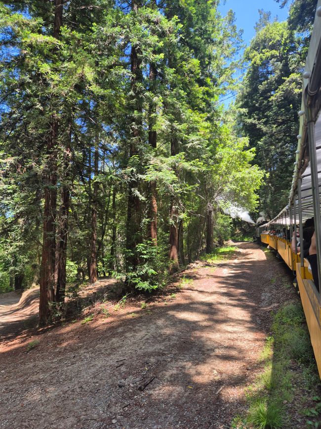 Boulder Creek / Santa Cruz