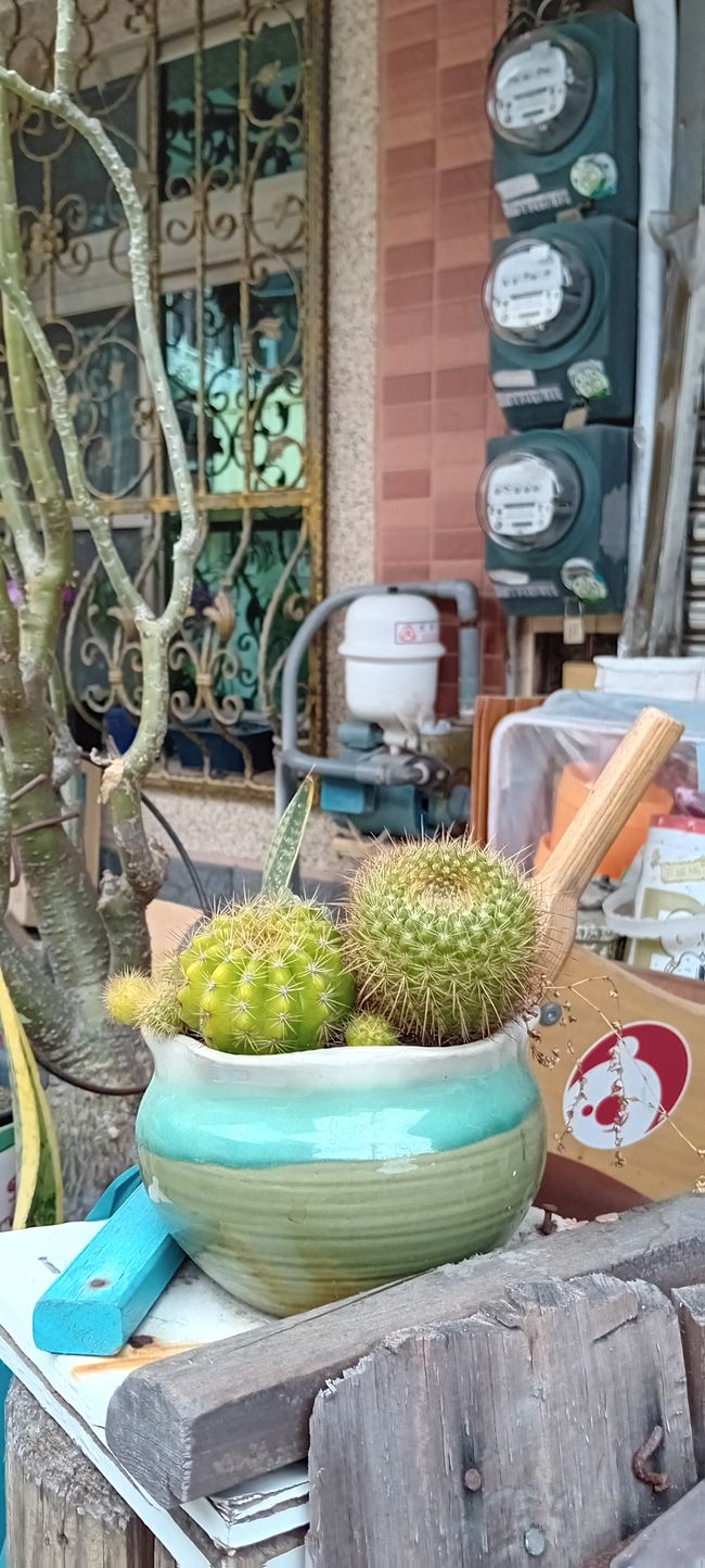 Tainan