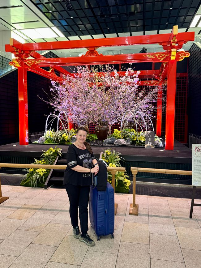 Teil 12 Japan 🇯🇵 Abreise und Fazit der gesamten Reise