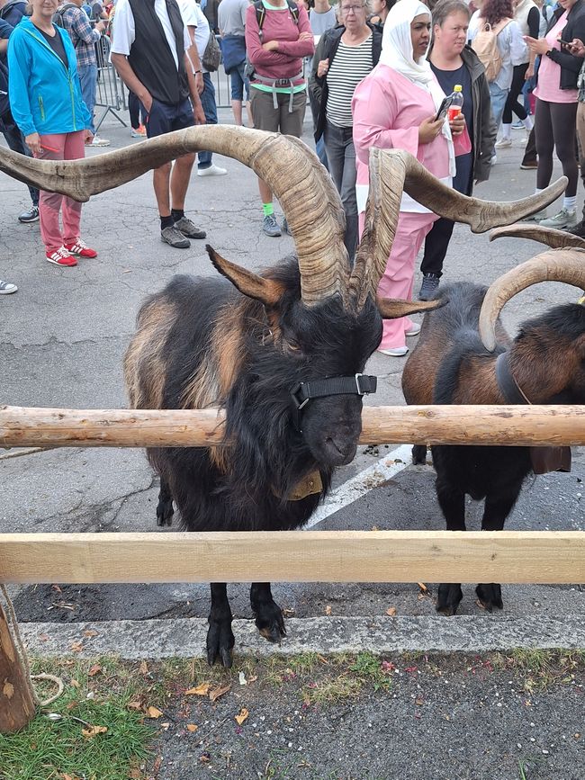 Un samedi de septembre à Mittenwald
