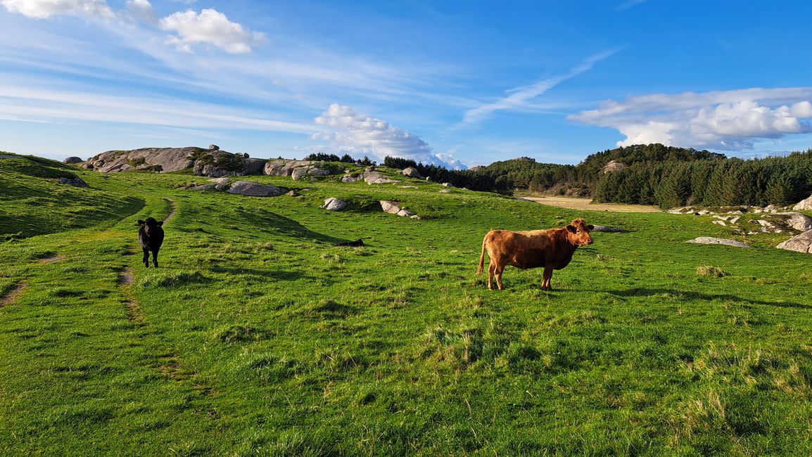 Allgäu????