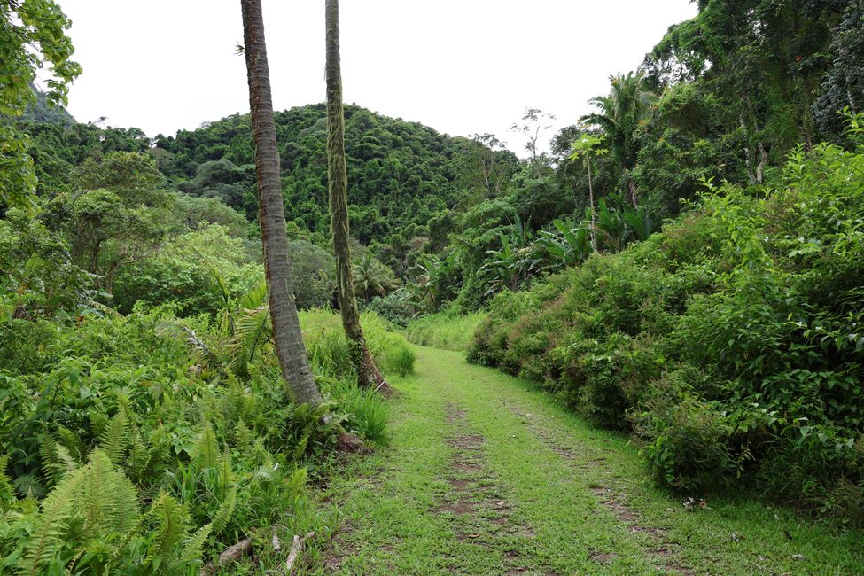 Rarotonga - Caminata cruzada por la isla