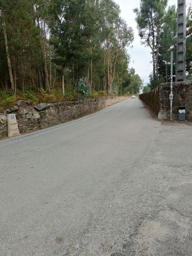 Strada fiancheggiata da muri