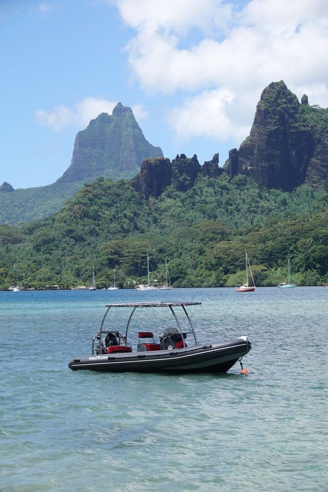 Heute war unser letzter Tag auf Moorea ....