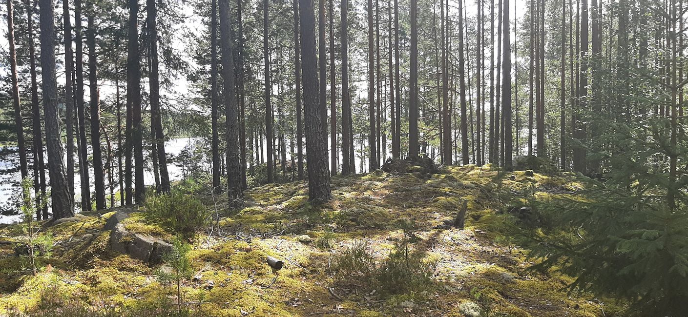 Natur pur