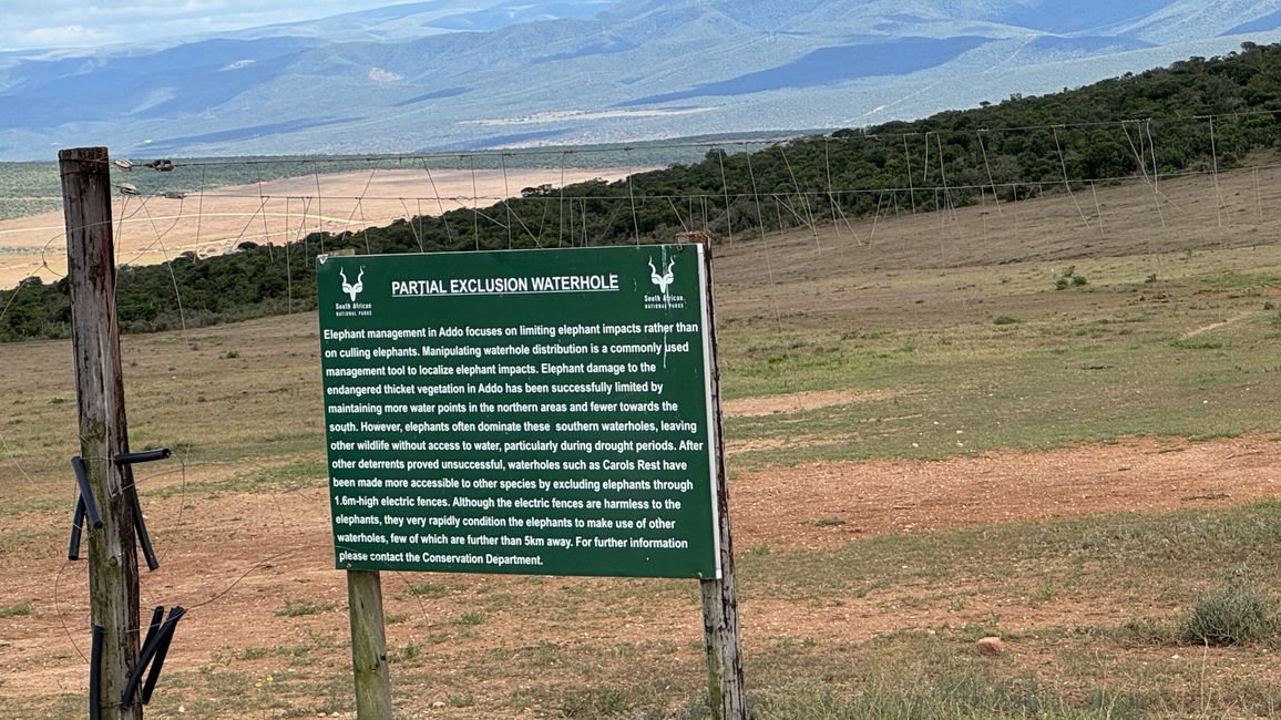 Addo Nationalpark