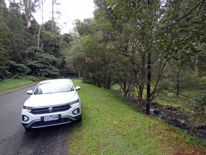 Tarra-Bulga-Nationalpark