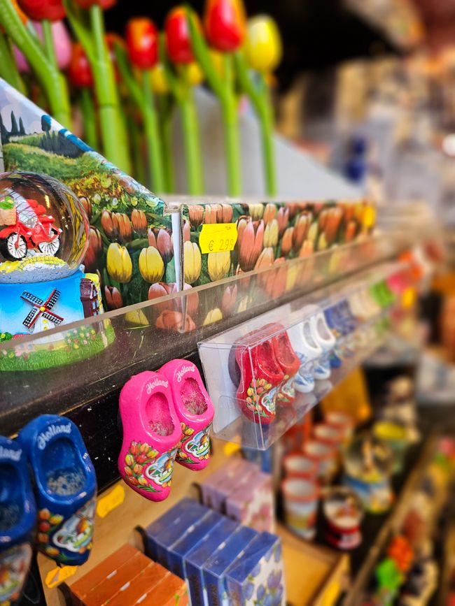 Tulipes en boîte