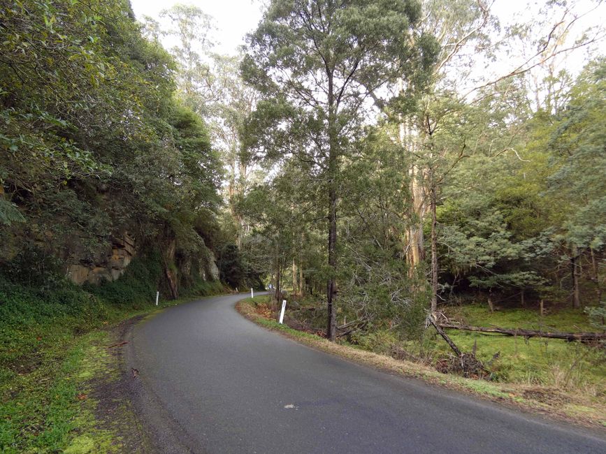 Tarra-Bulga-Nationalpark