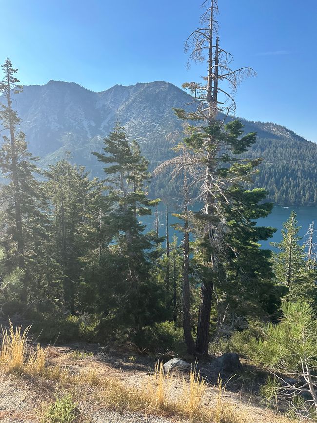 Decompress: Lake Tahoe/Sacramento